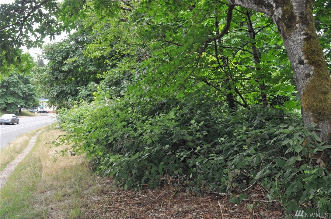 14-XX Evergreen Dr - Photo 1