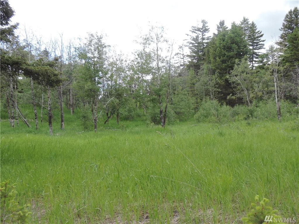 70-Lot P Moose Mtn Rd - Photo 1