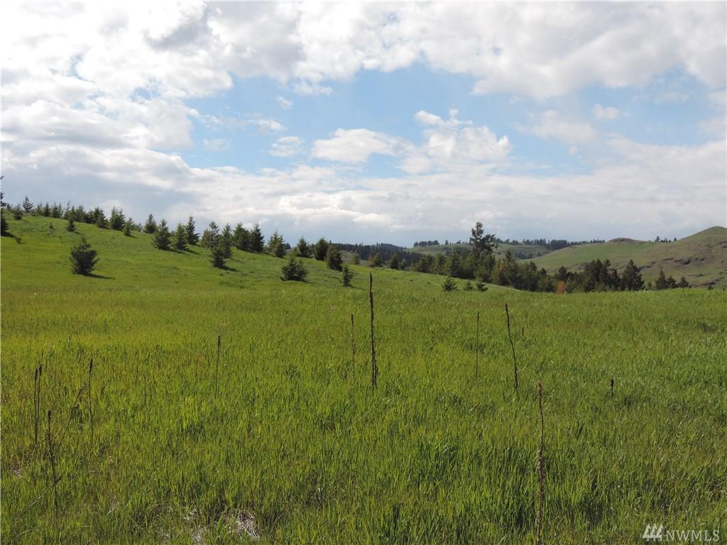 80-Lot T Moose Mtn Rd - Photo 1