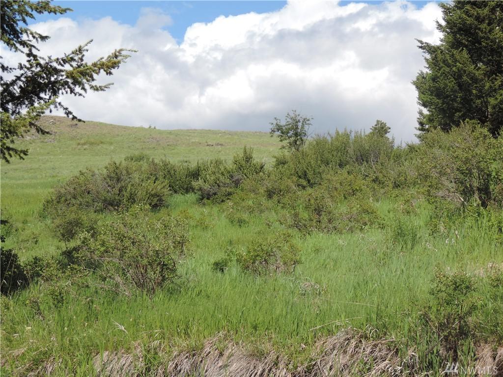 75-(Lot U) Moose Mtn Rd - Photo 1