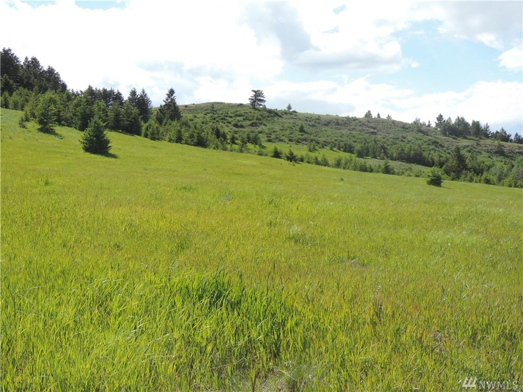 85-(Lot V) Moose Mtn Rd - Photo 1