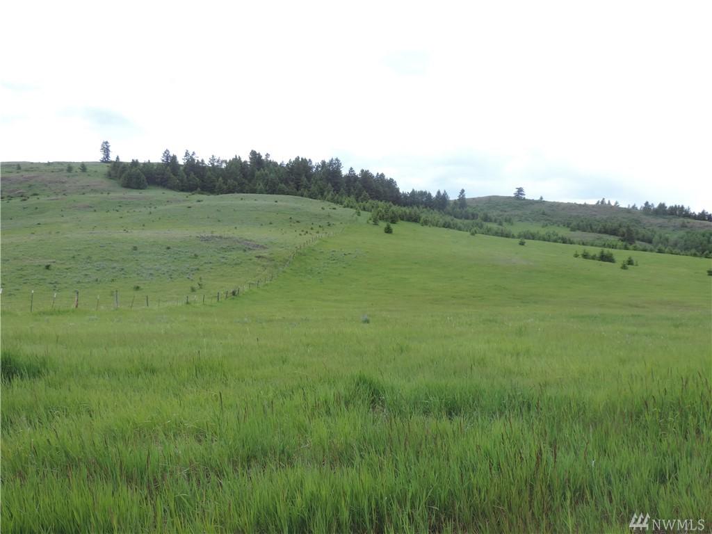 90-(Lot W1) Moose Mtn Rd - Photo 1