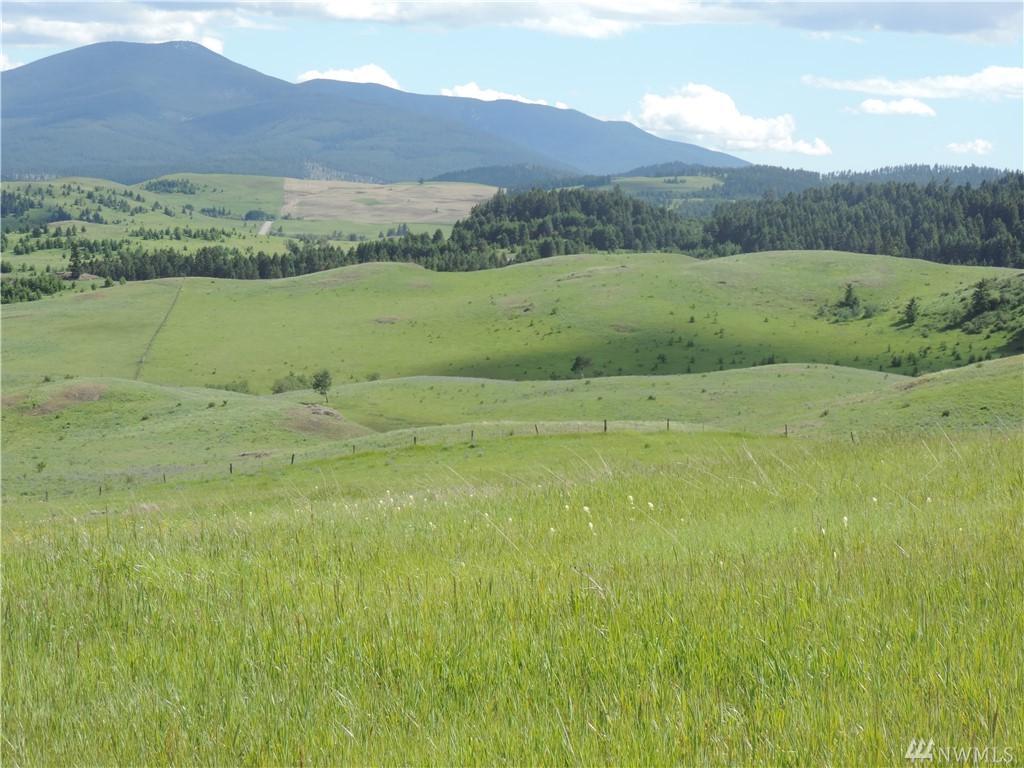 95-(Lot W2) Moose Mtn Rd - Photo 1