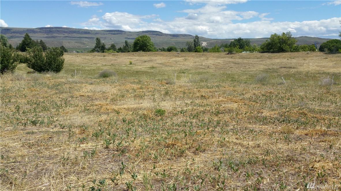 111 Buckingham Aly Lot 3 - Photo 1