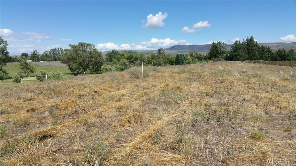 111 Buckingham Aly Lot 4 - Photo 1