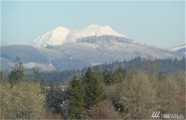 0 North Fork (Glacier Peak Ln.) Rd - Photo 1