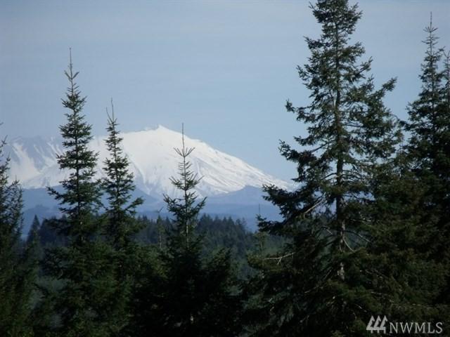 0 Glacier Peak Lane - Photo 1