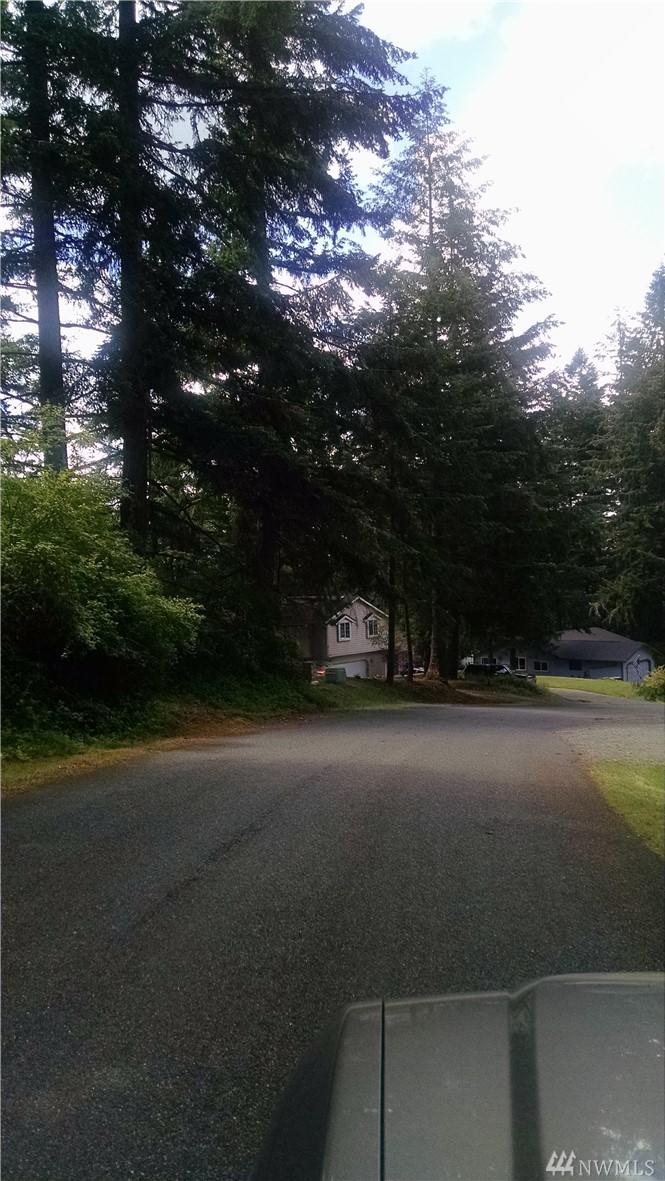 7925 Incline Dr - Photo 1