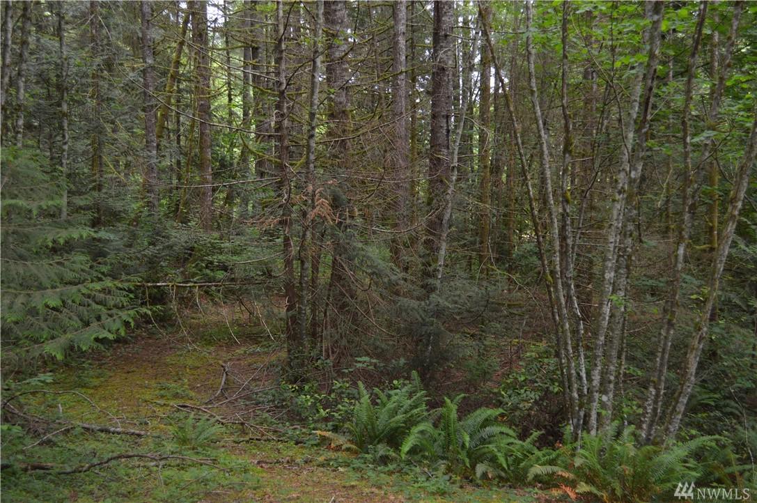 0-xxx Waddell Creek Rd - Photo 1