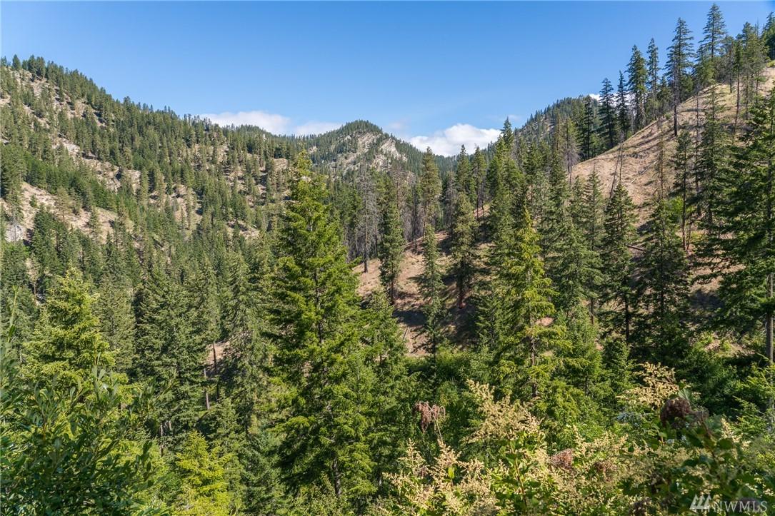 0 Bjork Canyon Rd - Photo 1