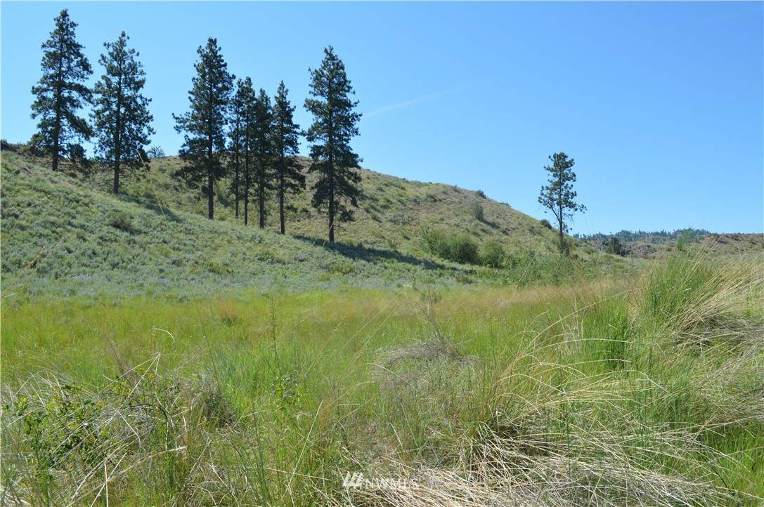 0 Highway 97 - Photo 1