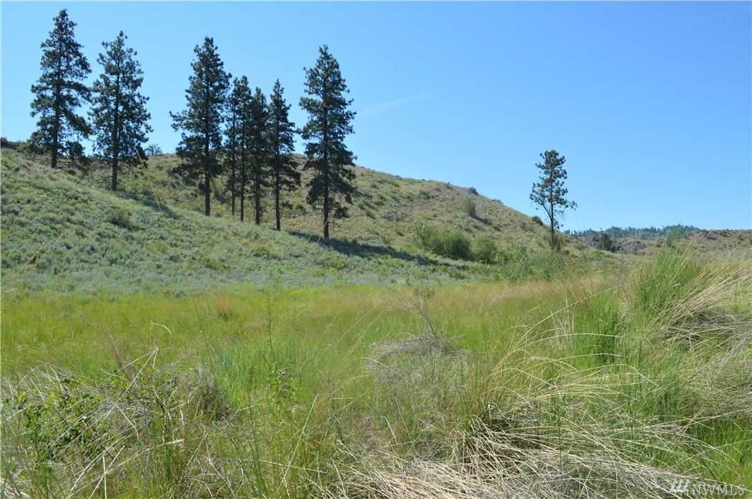 0-TBD Highway 97 - Photo 1 0-TBD Highway 97 - Photo 1