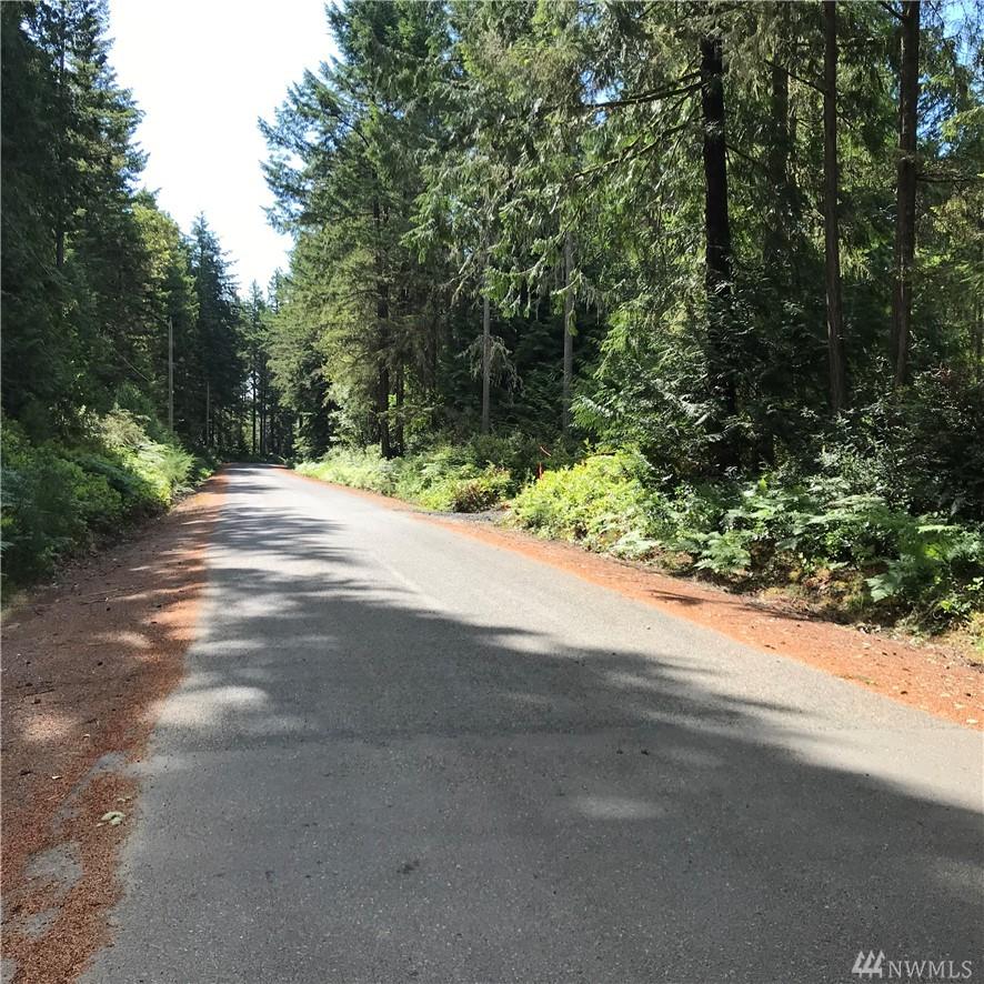 0 Van Beek Rd - Photo 1