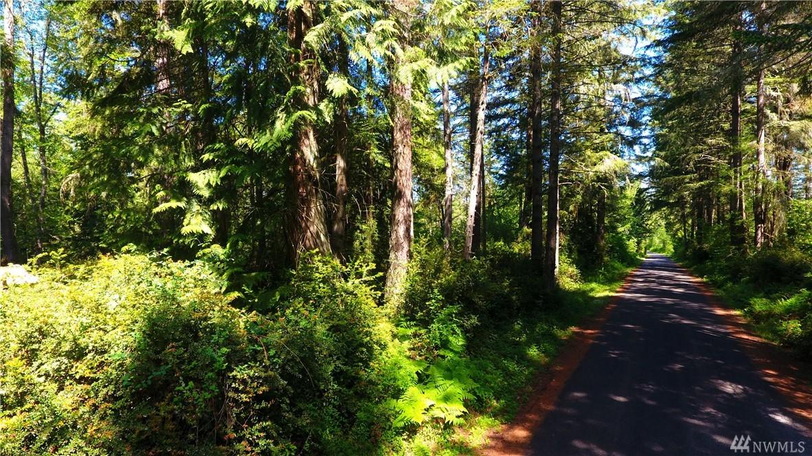 0 Claussen Rd - Photo 1