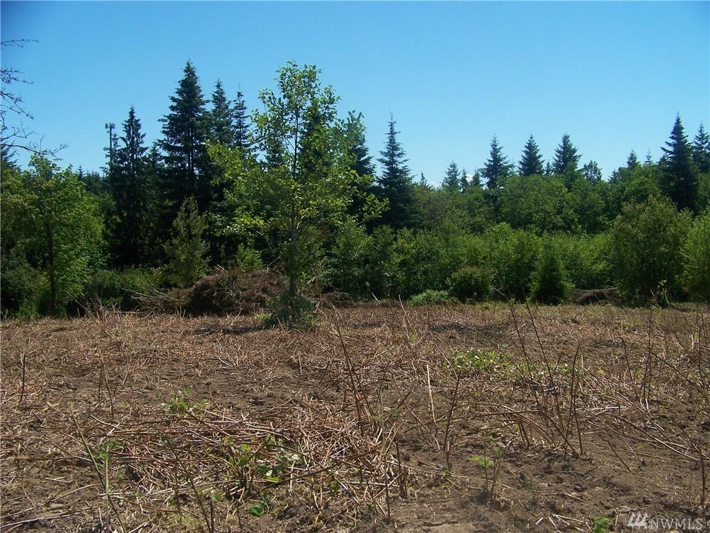 2204 Padrick Rd - Photo 1