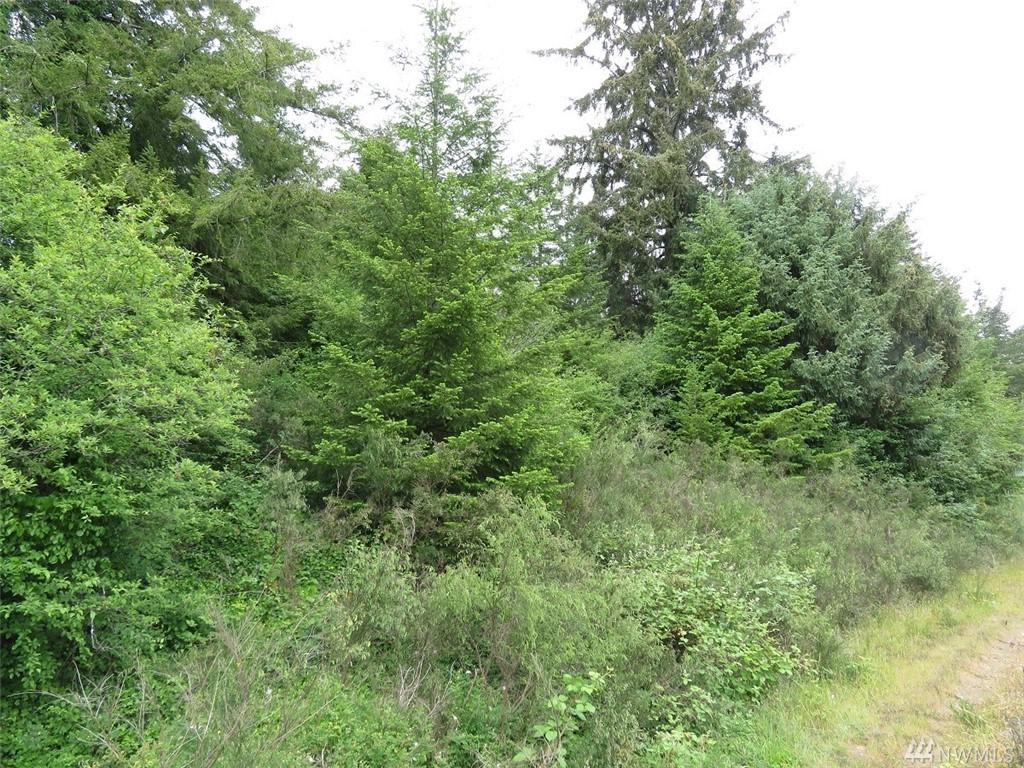 0 Hwy 101 - Photo 1