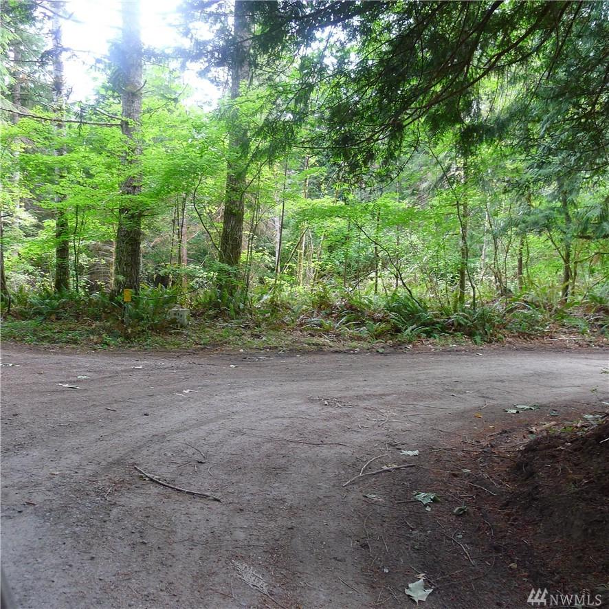 242 Mossy Lane - Photo 1
