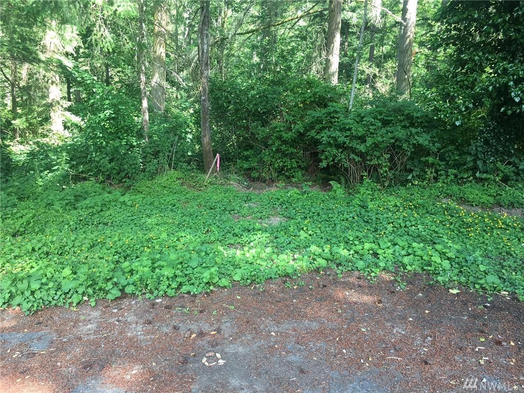 0 Woodland Dr - Photo 1