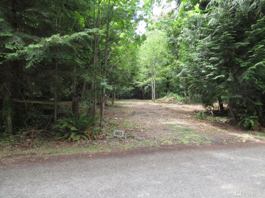 903 76th Ave - Photo 1