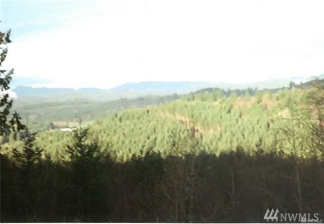 5-xxx4 Centralia-Alpha Rd - Photo 1