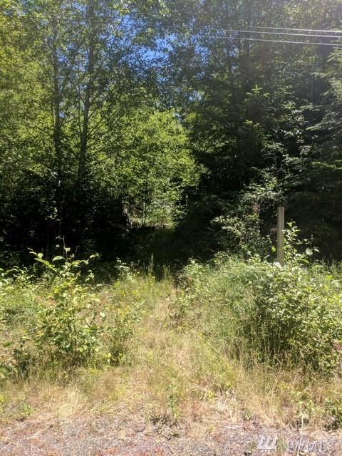 1280 Tahuya Blacksmith Rd - Photo 1