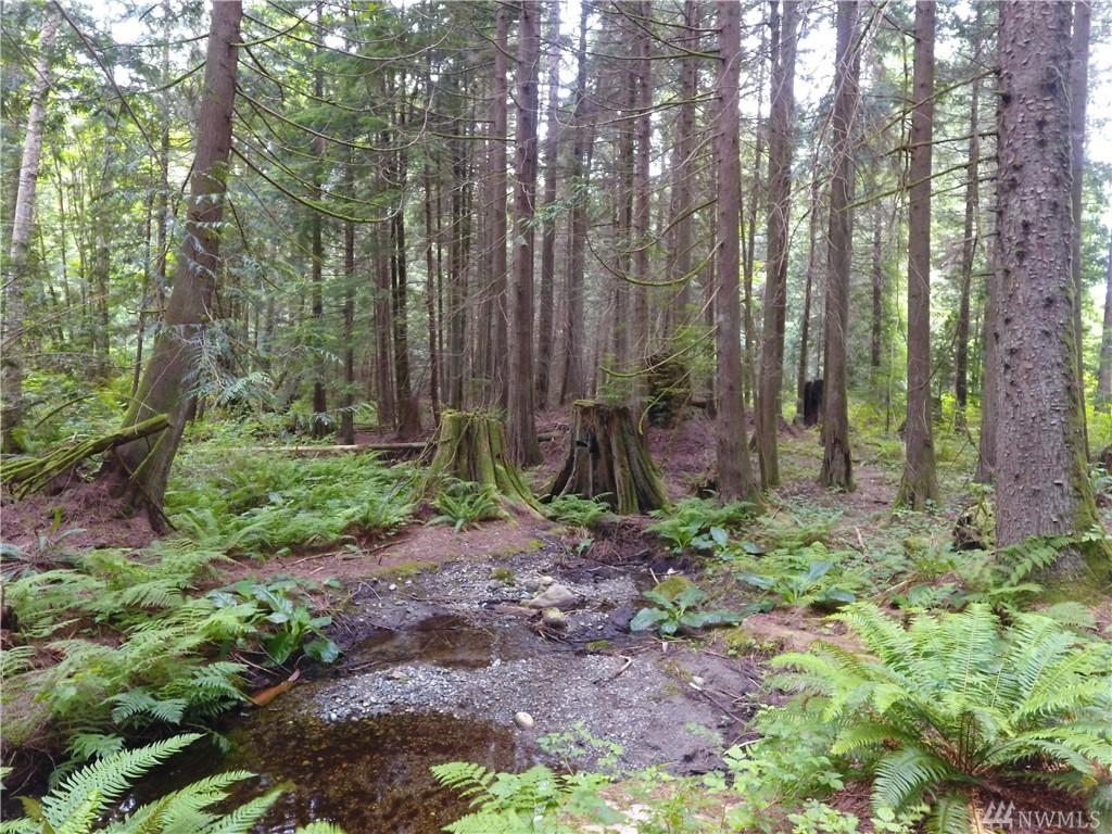 0 Frank Waters Rd - Photo 1