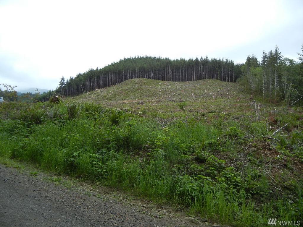 0 Trap Creek Rd - Photo 1