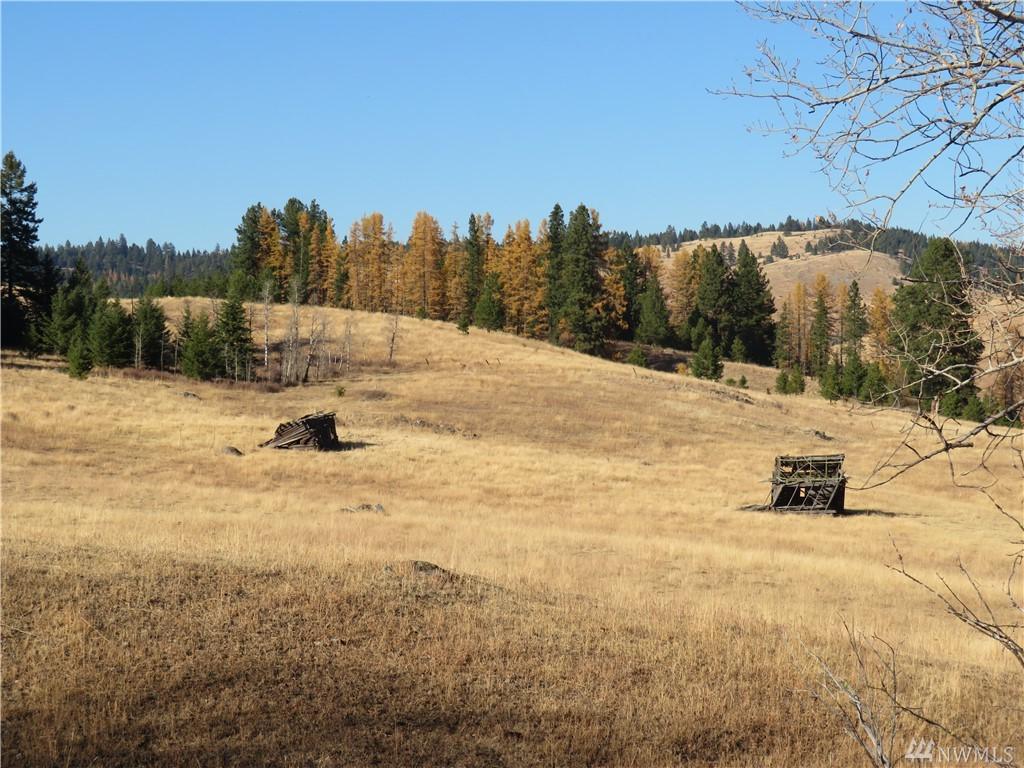 0-TBD Tillott Rd - Photo 1