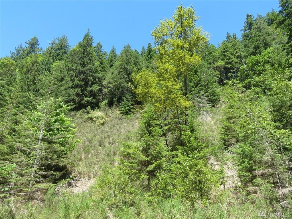 0-XXX Northshore Rd - Photo 1