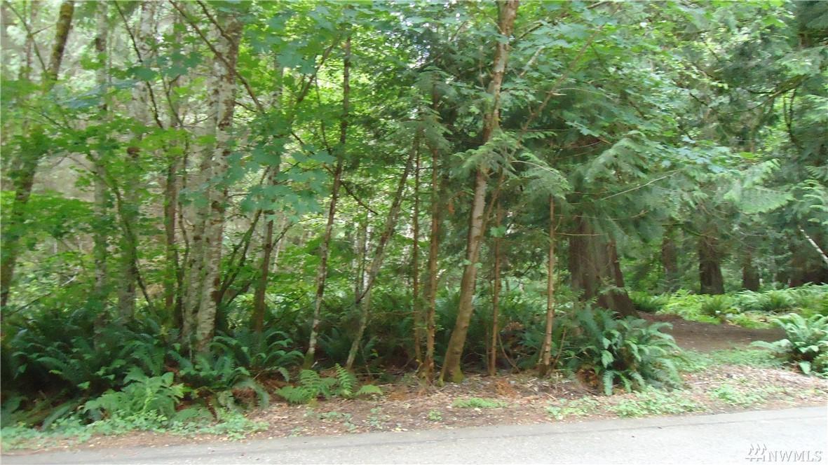 44 Holly View Wy - Photo 1
