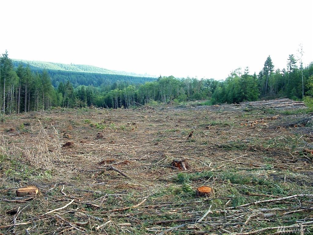 35-xx Centralia-Alpha Rd - Photo 1