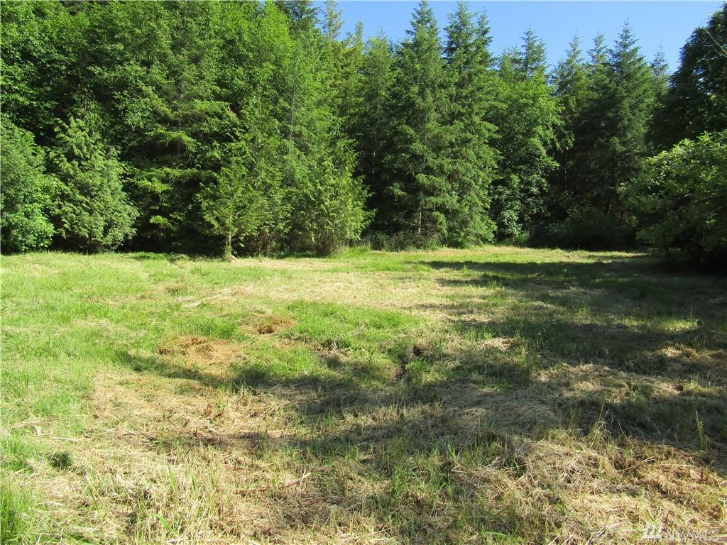 0-Lot 1 Guerrier Rd - Photo 1