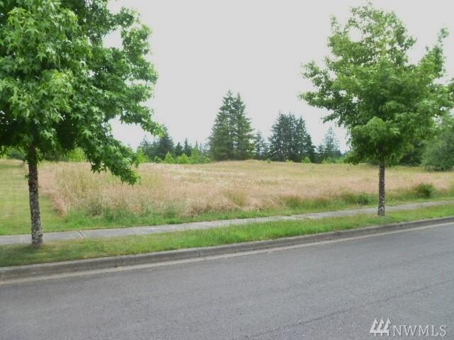 119 Sycamore Lane - Photo 1
