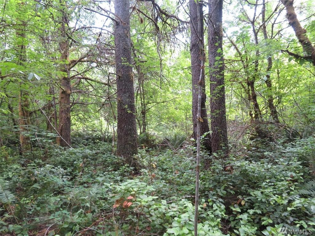 0-XXX Oyler Rd - Photo 1