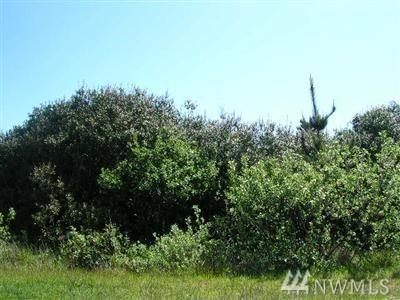 184 Sand Dune Ave - Photo 1