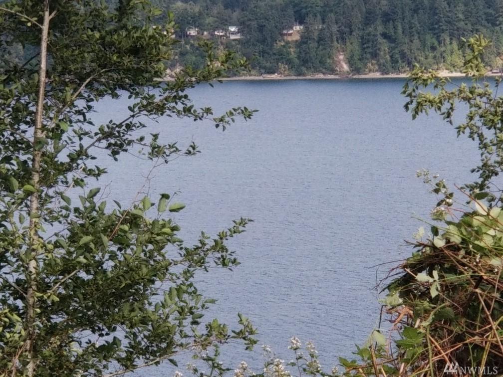 0-Lot 3 Castlewood Ct - Photo 1