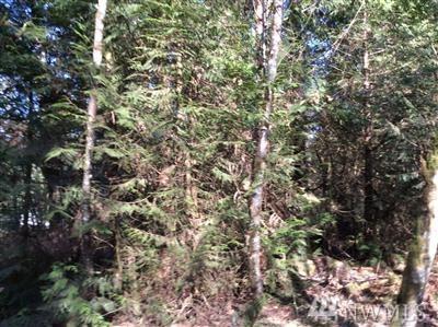 2852 244th Ave - Photo 1