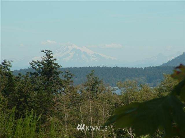 0 Waldron Island - Photo 1