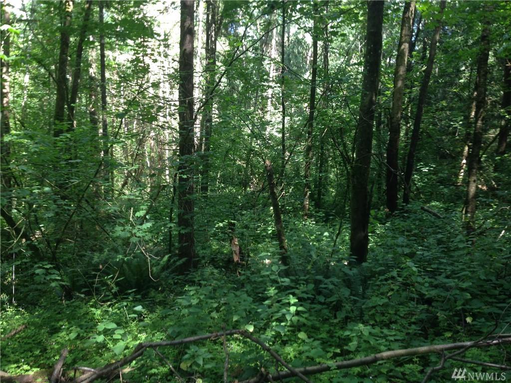 0 Sorenson Rd - Photo 1
