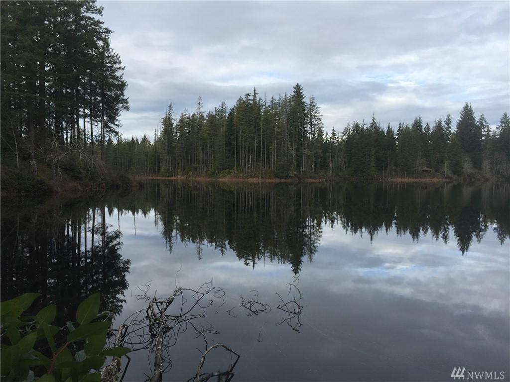 0 Lost Hwy W - Photo 1