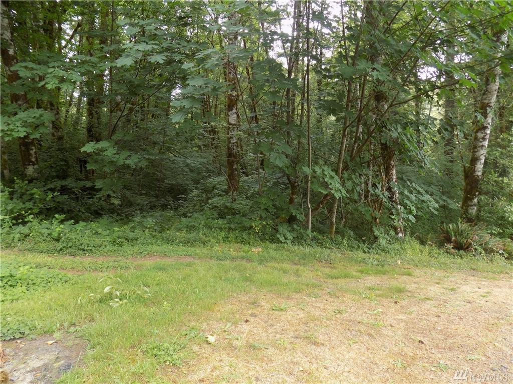 111 Royal Coachman Lane - Photo 1