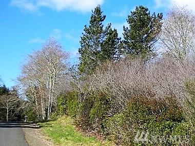 2769 240th - Photo 1