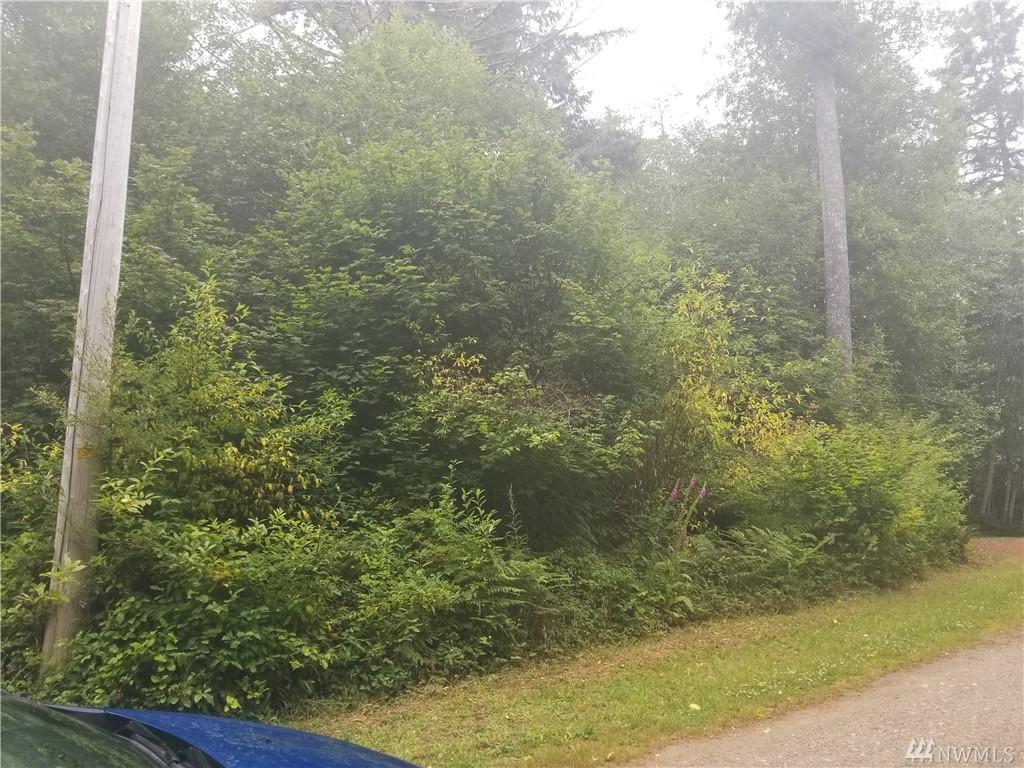 0 Tyee Pl (Tr 30) - Photo 1