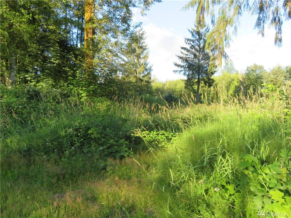 29117 Fuchsl Rd - Photo 1