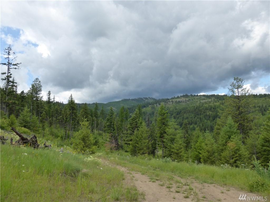 12345 Lilly Creek Rd - Photo 1