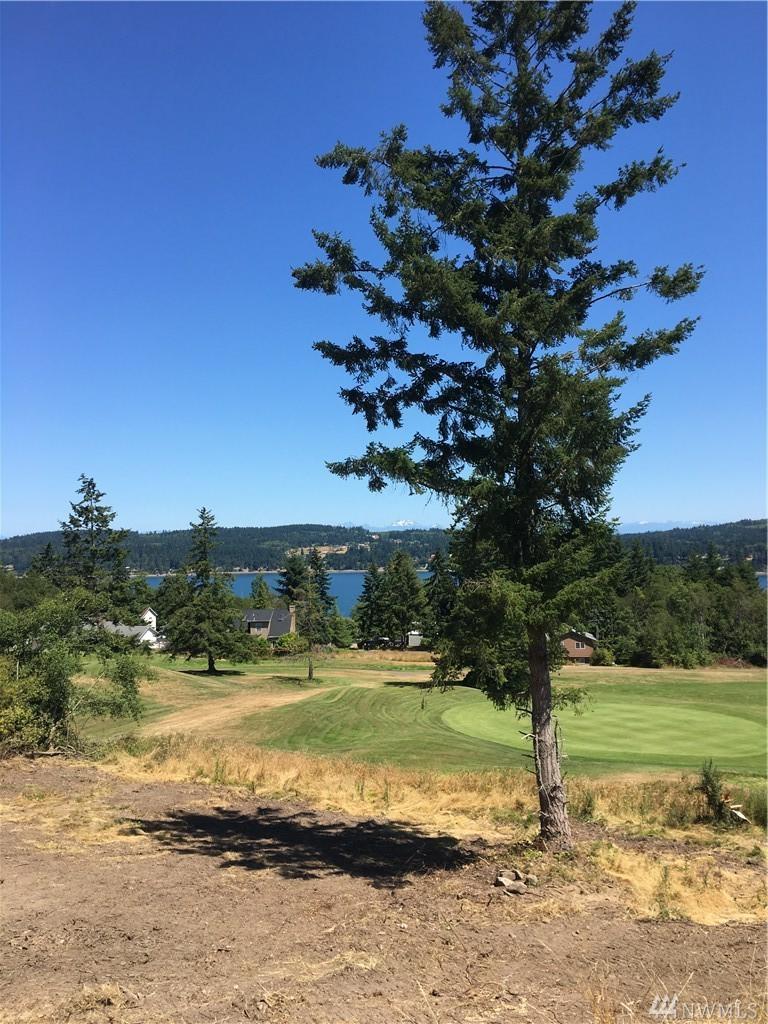 0-Lot 8 Backswing Lane - Photo 1