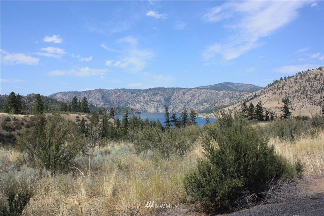39405 Bluff Overlook Point - Photo 1