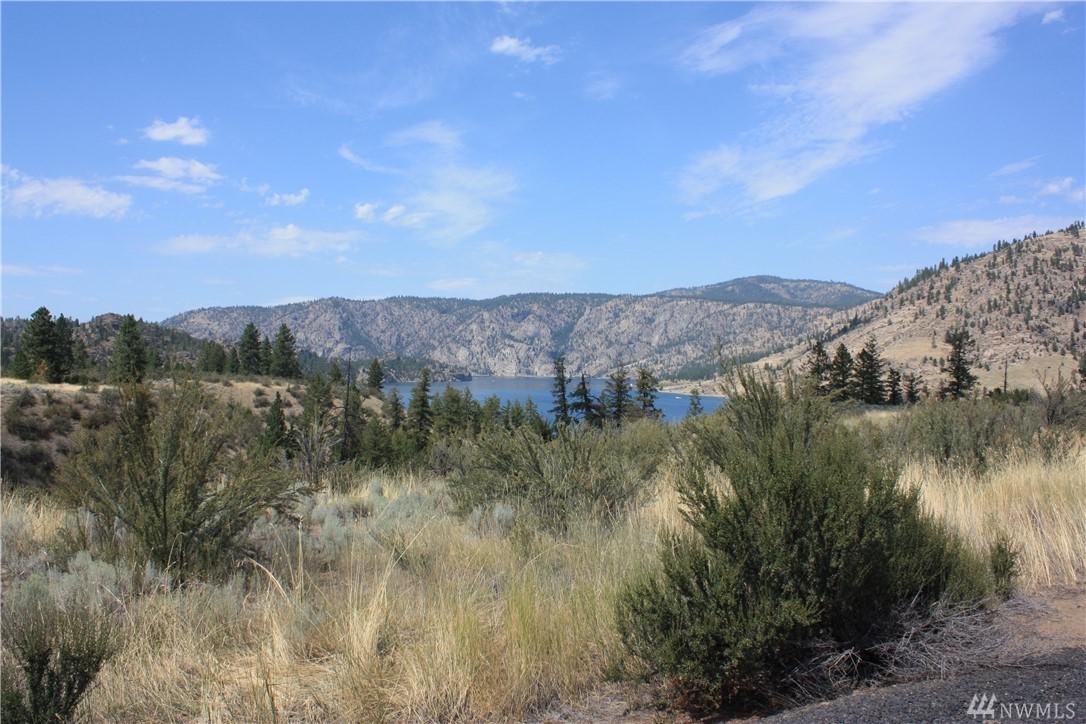 39405 Bluff Overlook Point - Photo 1