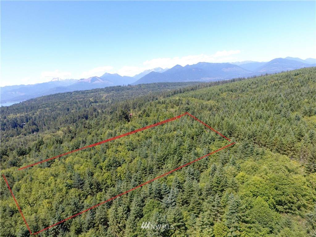 724 Hazel Point Road - Photo 1