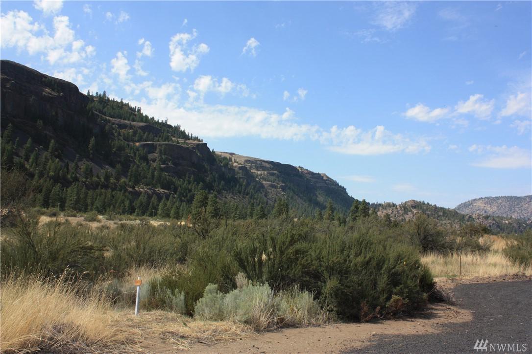 39385 Bluff Overlook Pt - Photo 1